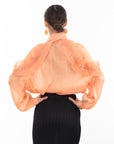 Pleated ruffles with multi dimoned stone embellished sleeves design organza shirt in Peach